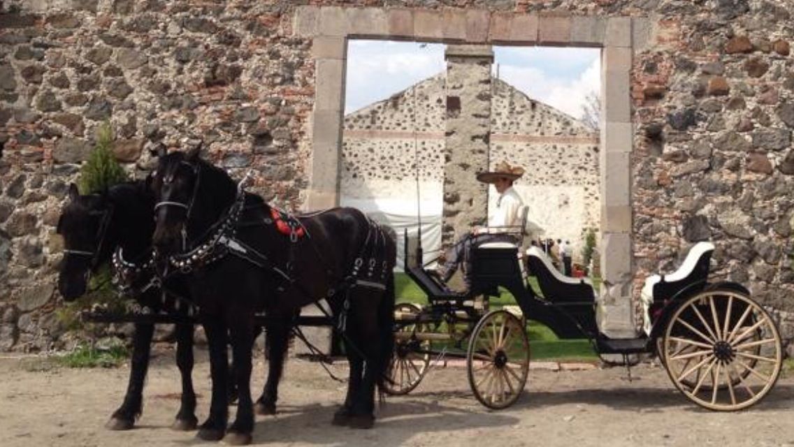 Los percherones Carruajes y Caballos San Miguel de Allende