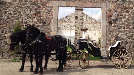Los percherones Carruajes y Caballos San Miguel de Allende