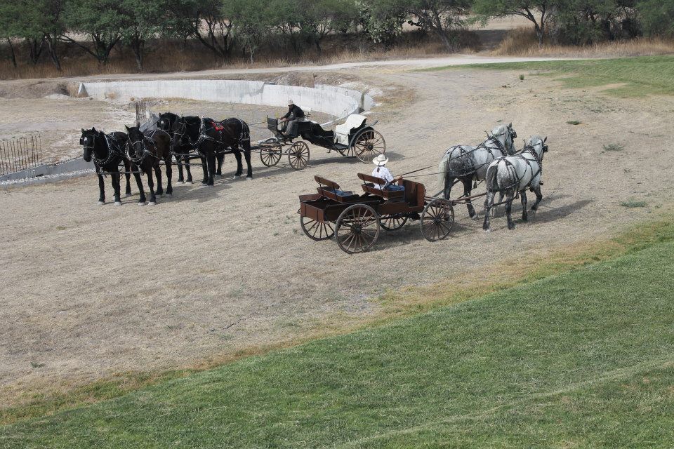 Los percherones Carruajes y Caballos San Miguel de Allende