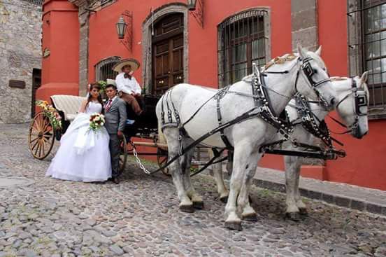 Los percherones Carruajes y Caballos San Miguel de Allende