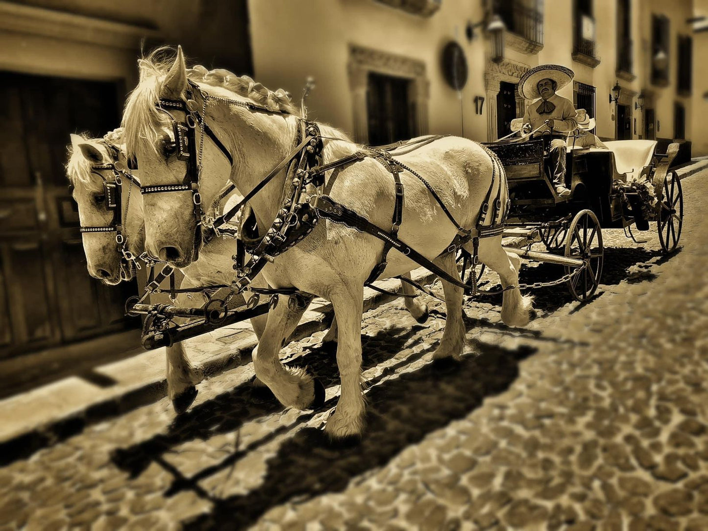 Los percherones Carruajes y Caballos San Miguel de Allende