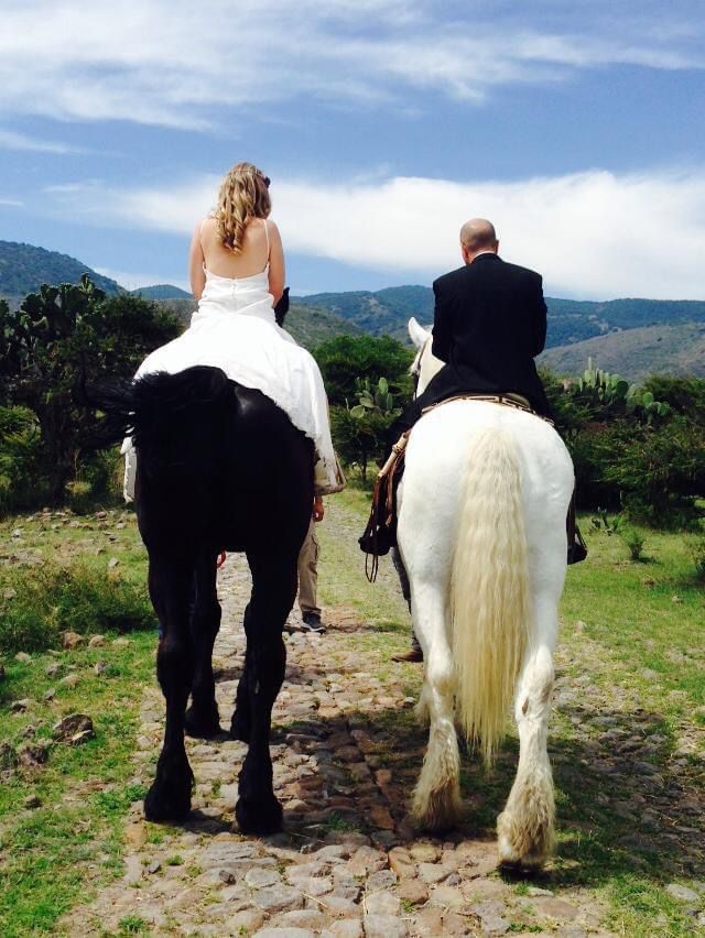 Los percherones Carruajes y Caballos San Miguel de Allende