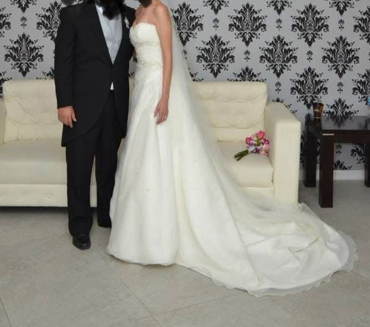 Vestido de Novia Pronovias LD84 MTY