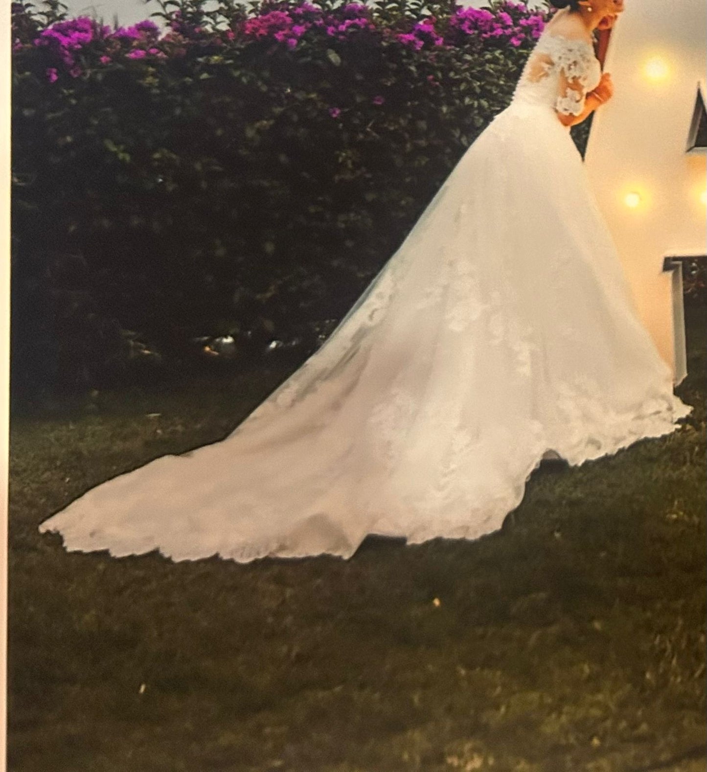 Vestido de Novia Preloved Pronovias AP68 Guadalajara