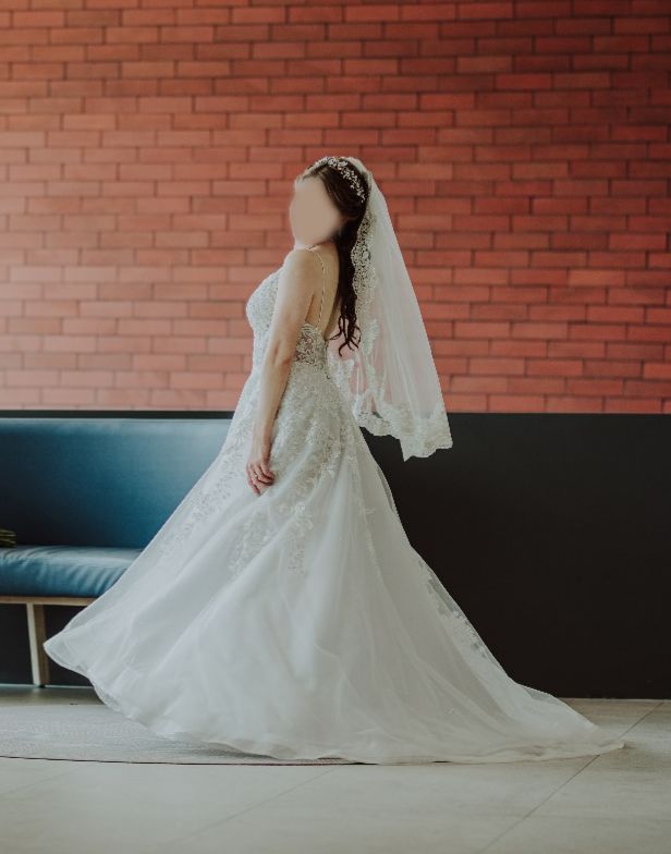 Vestido de Novia Preloved Ladivine by Cinderella Divine LR58 Monterrey