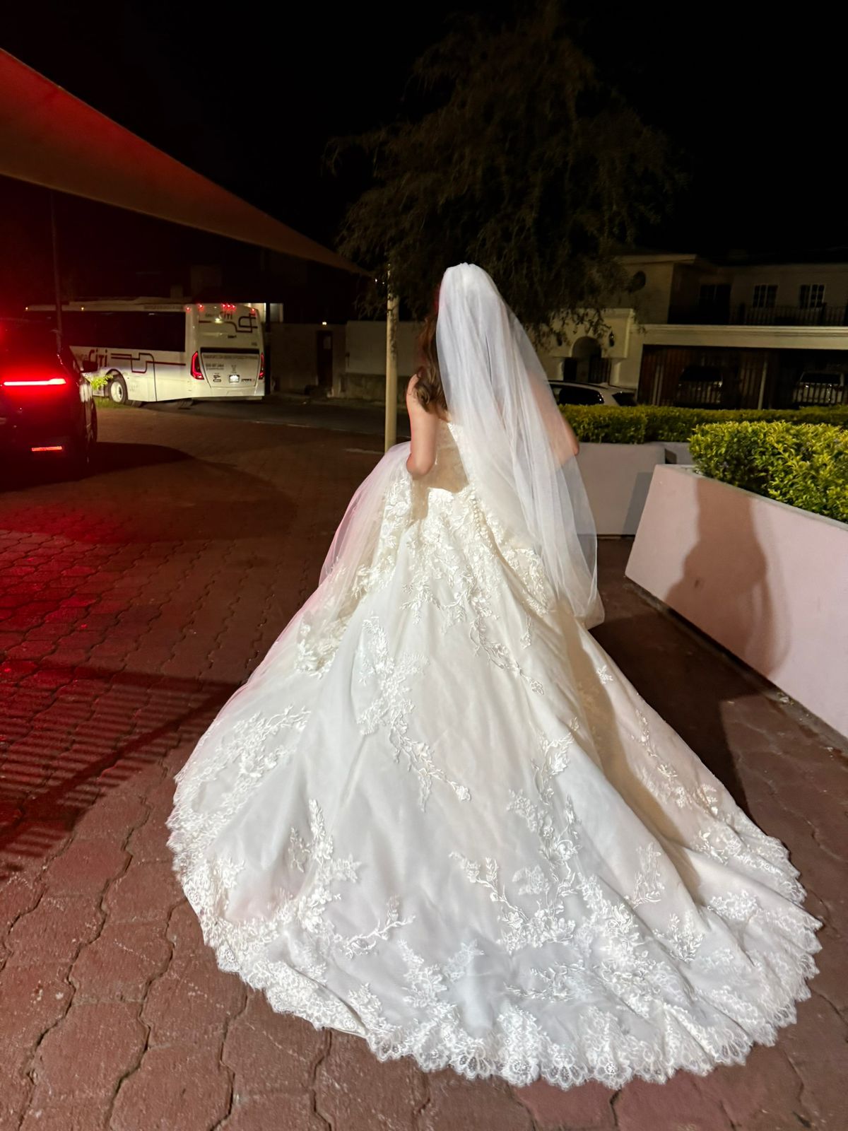 Vestido de Novia Preloved Pronovias AC81 Monterrey