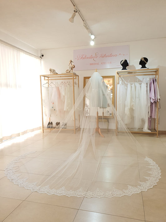 Velos de novia largos: Estilo catedral - David's Bridal