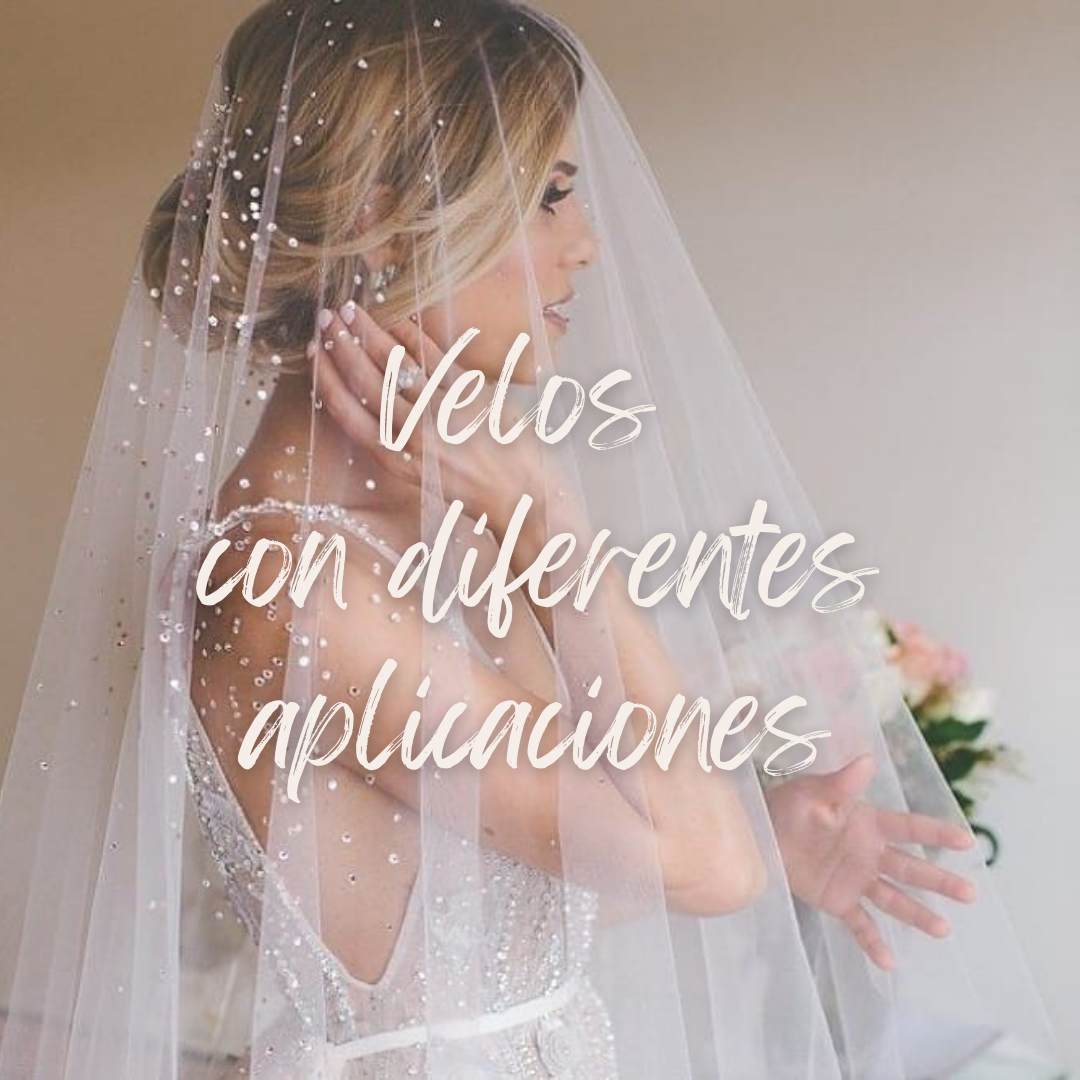 Velos con diferentes aplicaciones