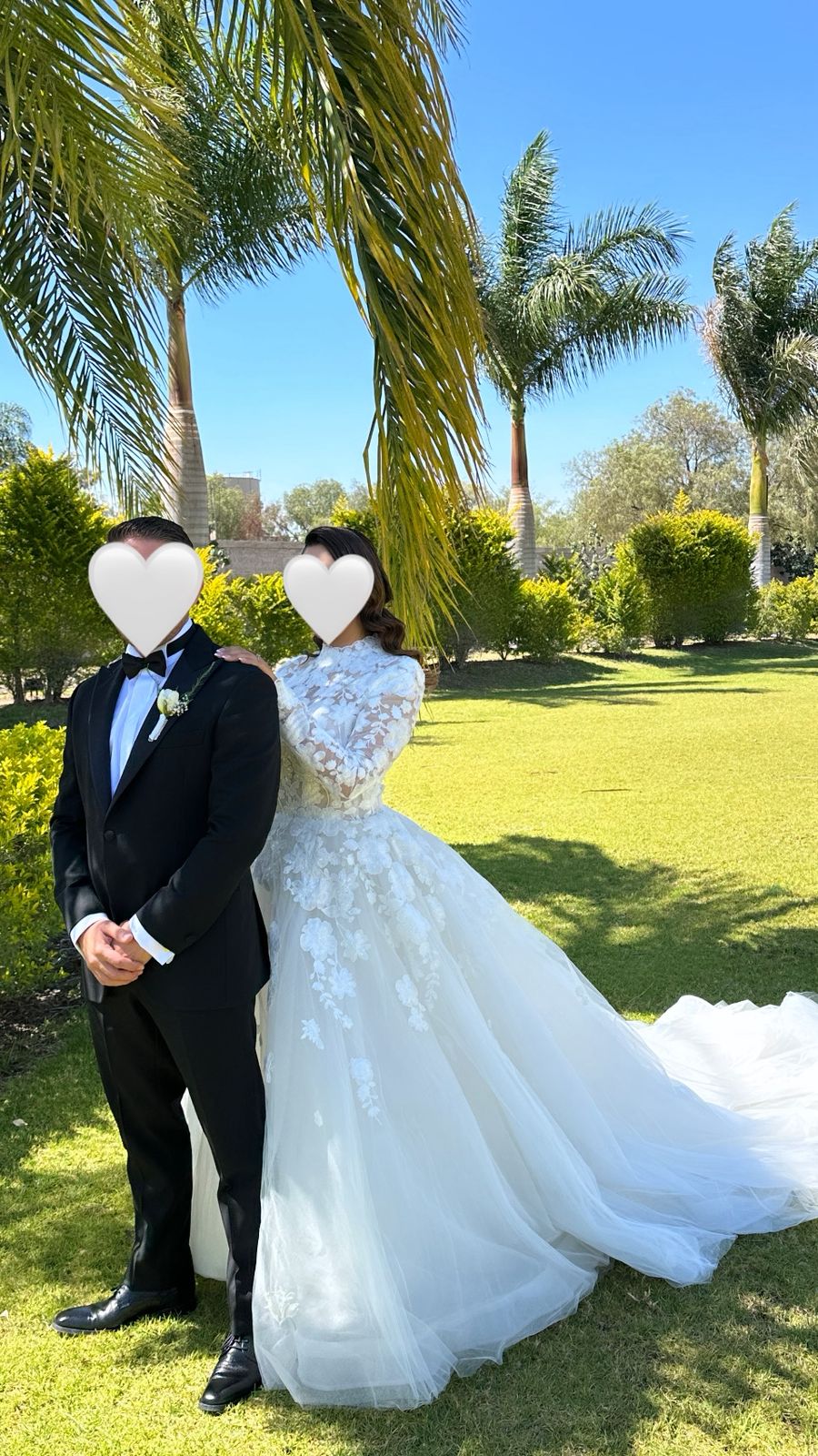 Vestido de Novia Preloved Demetrios AC94 Michoacán