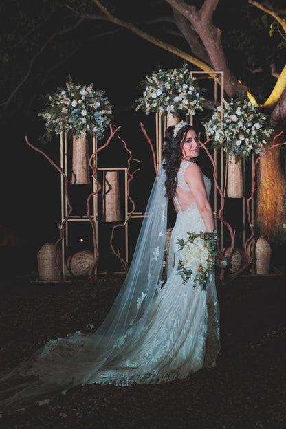 Vestido de Novia Preloved Pronovias LF58 Tabasco