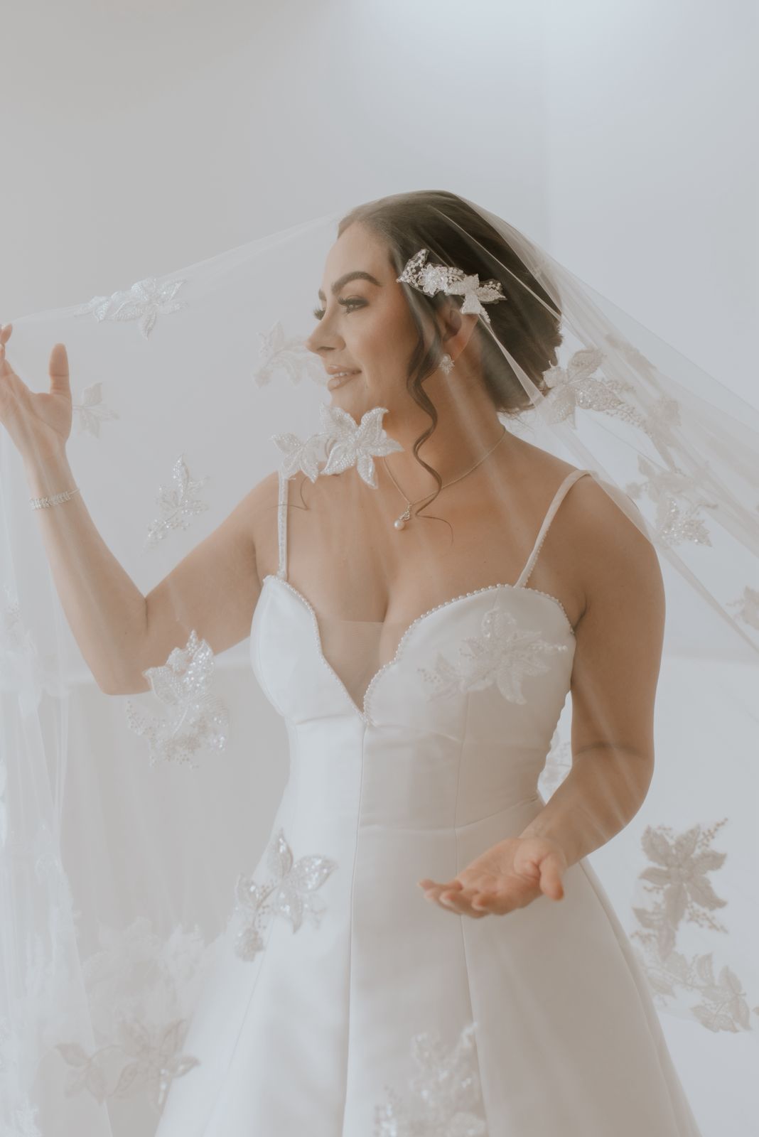 Vestido de Novia Preloved Nicole Milano Pronovias ST14 Aguascalientes
