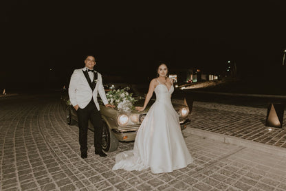 Vestido de Novia Preloved Nicole Milano Pronovias ST14 Aguascalientes