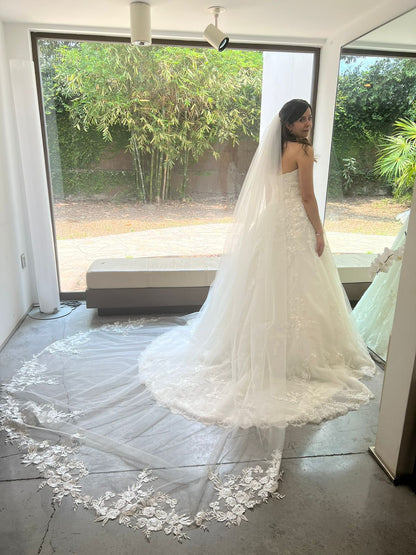 Vestido de Novia Preloved Pronovias AC81 Monterrey