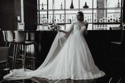 Vestido de Novia Preloved Pronovias DG75 Monterrey