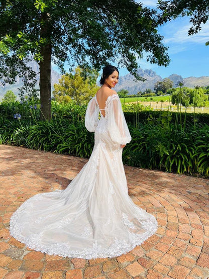 Vestido de Novia Nuevo Pronovias JH03 Estado de México Talla 8